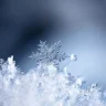 Everythingiswhite1